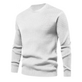 Herrenpullover des Moments